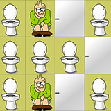 Toilet Puzzle